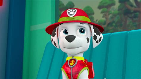 paw patrol what does marshall say